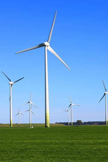 2025 五一档票房 7.43 亿，不及去年同档期票房一半，这一现象原因是什么？