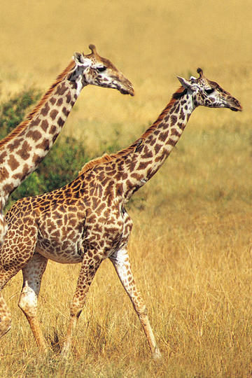 金秀贤被索赔总金额或超100亿韩元