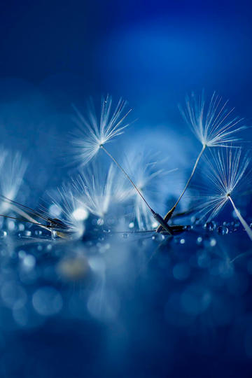 物业回应面具女恐吓电梯内2幼童