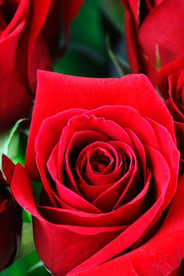 王鹤棣咸鱼飞升生图路透）