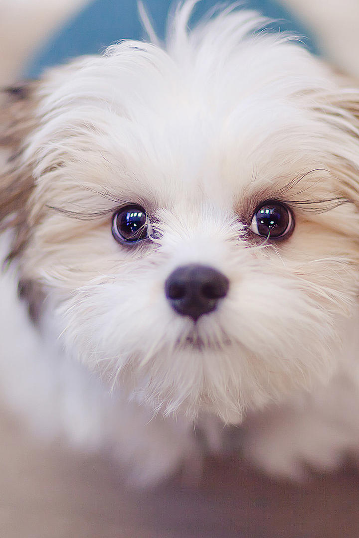 如何评价美剧《黑镜》第七季第四集「Plaything 玩物」？