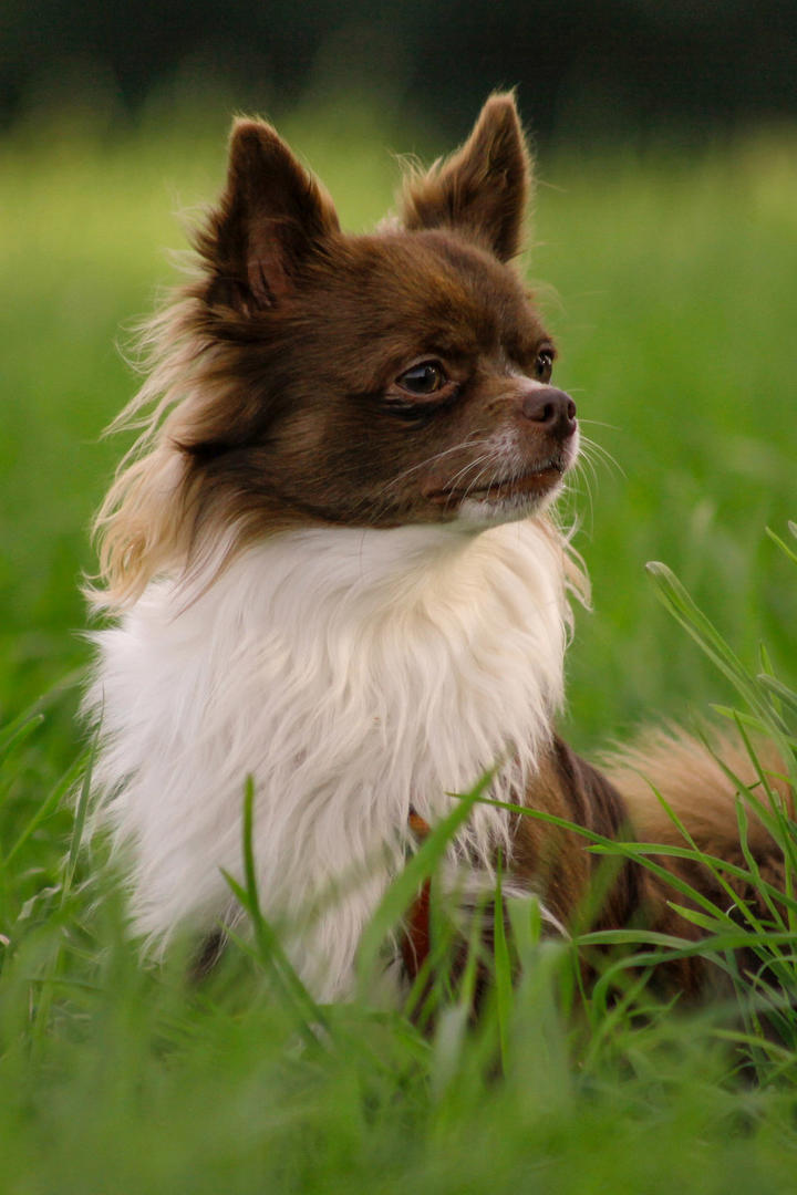 5月13日:关税战缓和：别欢呼太早，清醒才是硬道理！