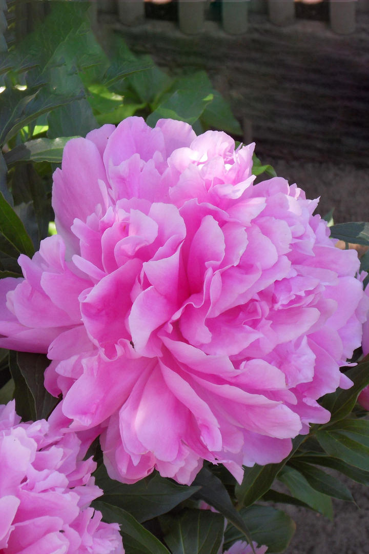 金饰破千备婚三金成本激增